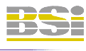 The British Standards Institute